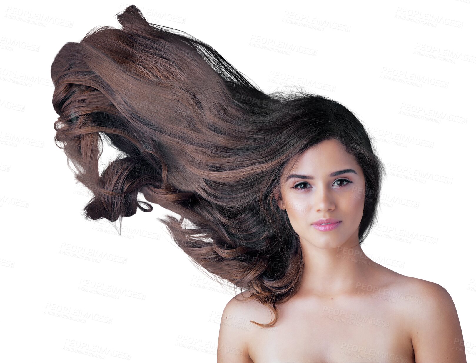 Buy stock photo Hair, wind and woman in portrait isolated on transparent png background of salon, color treatment or hairdresser results. Healthy glow, hairstyle in air or growth with face of young person for beauty