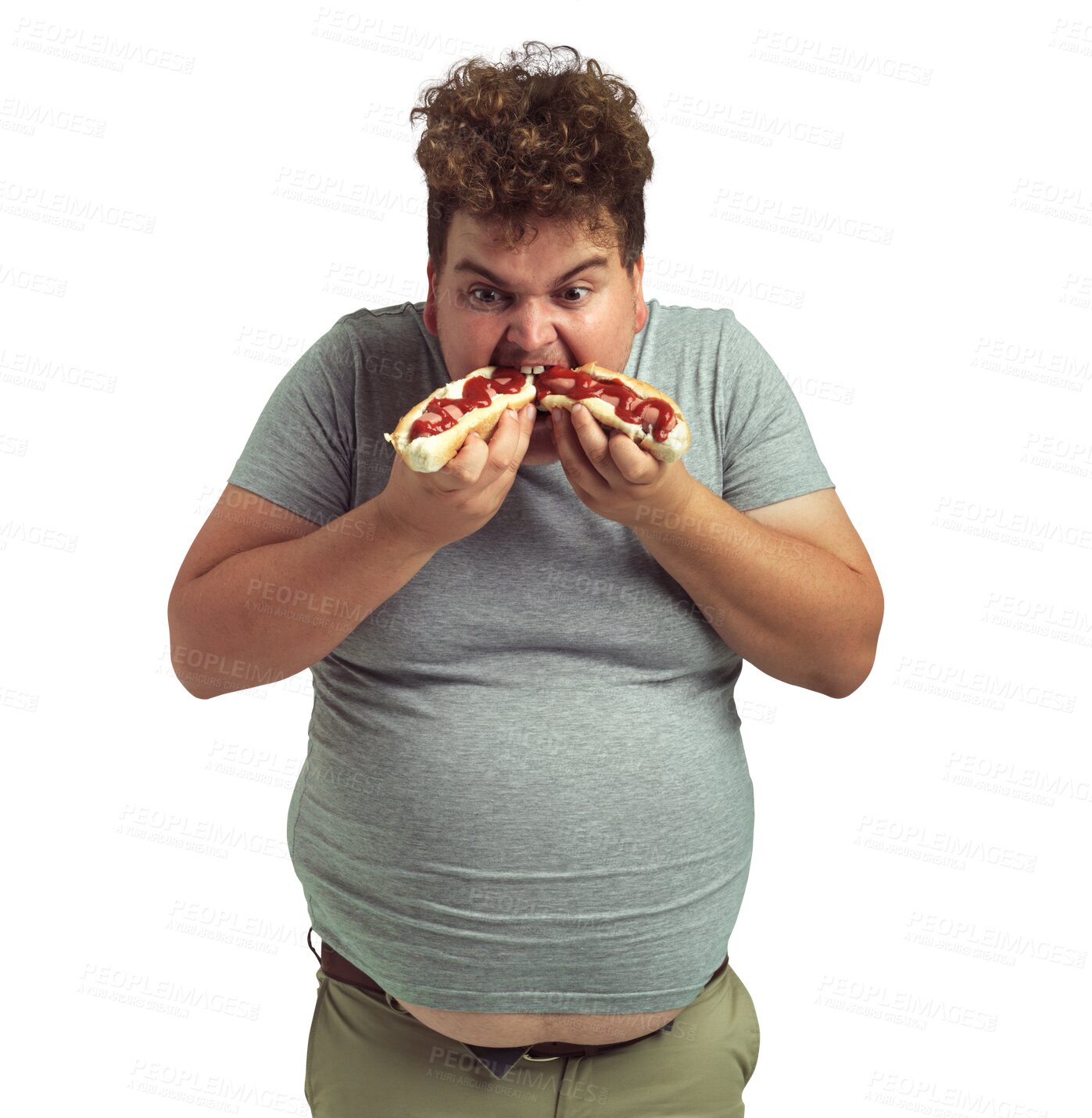 Buy stock photo Hotdog, plus size and eating man isolated on a transparent png background. Fast food, sausage and greedy, funny person with unhealthy cholesterol or bad nutrition for poor diet, hungry and eat lunch.