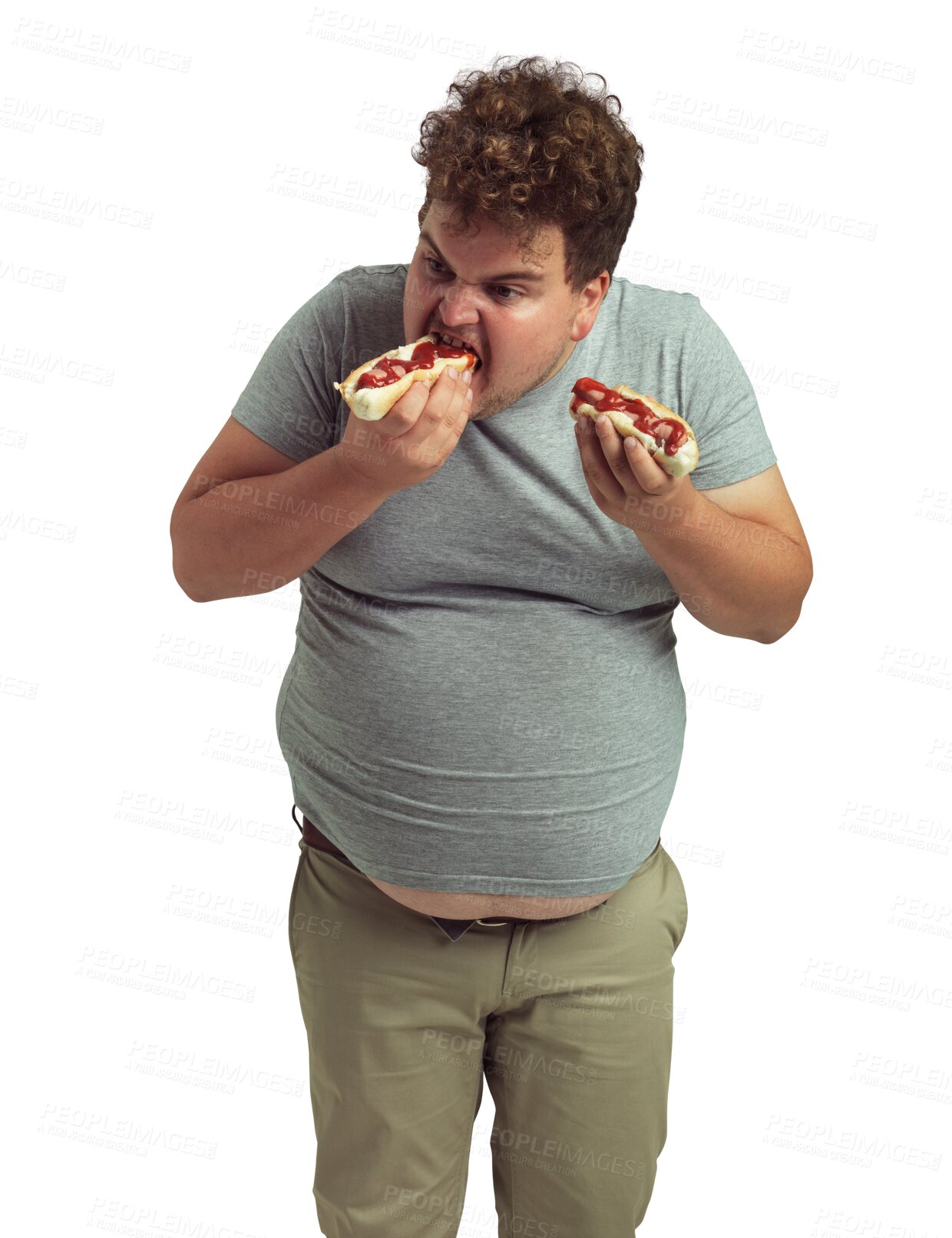 Buy stock photo Plus size, hotdog and eating man isolated on a transparent png background. Fast food, sausage and greedy, funny person with unhealthy cholesterol and bad nutrition for poor diet, hungry and eat lunch