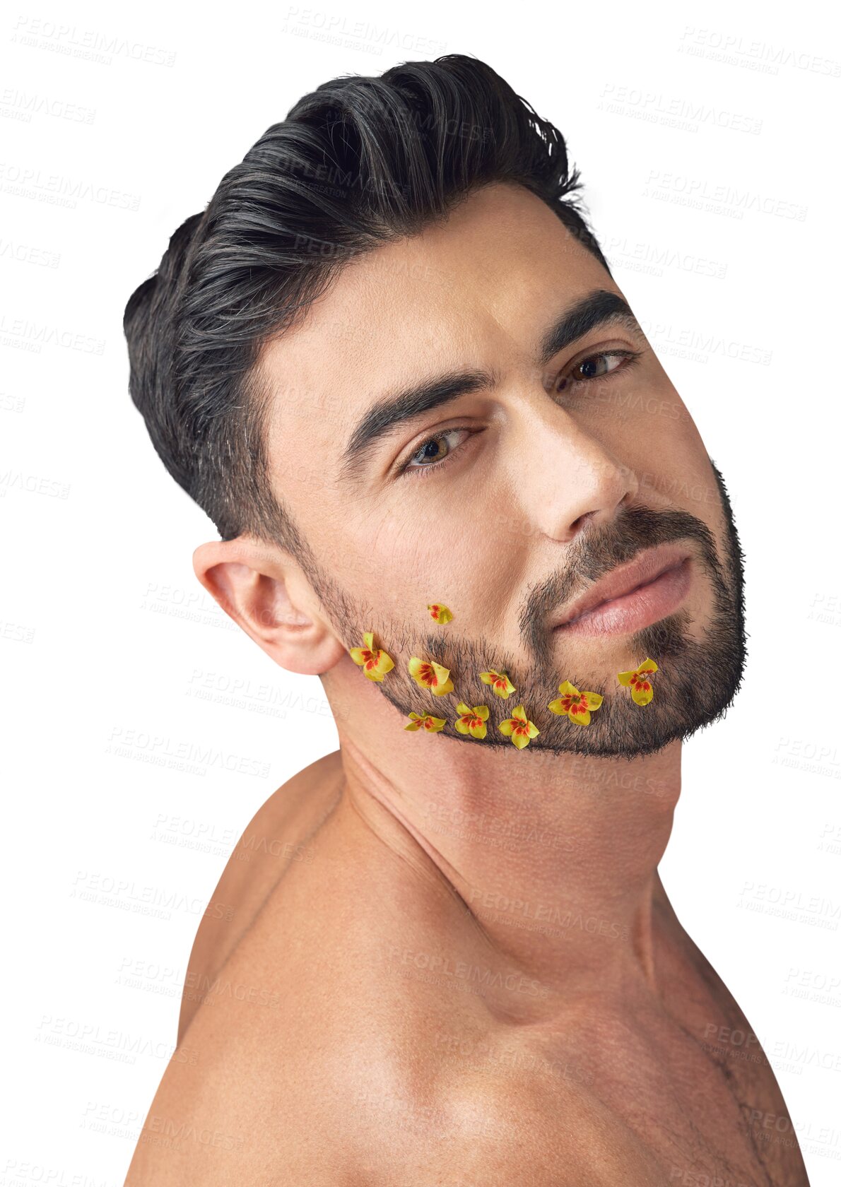 Buy stock photo Flowers, portrait or man with beauty, beard or confidence isolated on transparent png background. Dermatology face transformation, skincare or male person with facial glow, wellness or floral plants