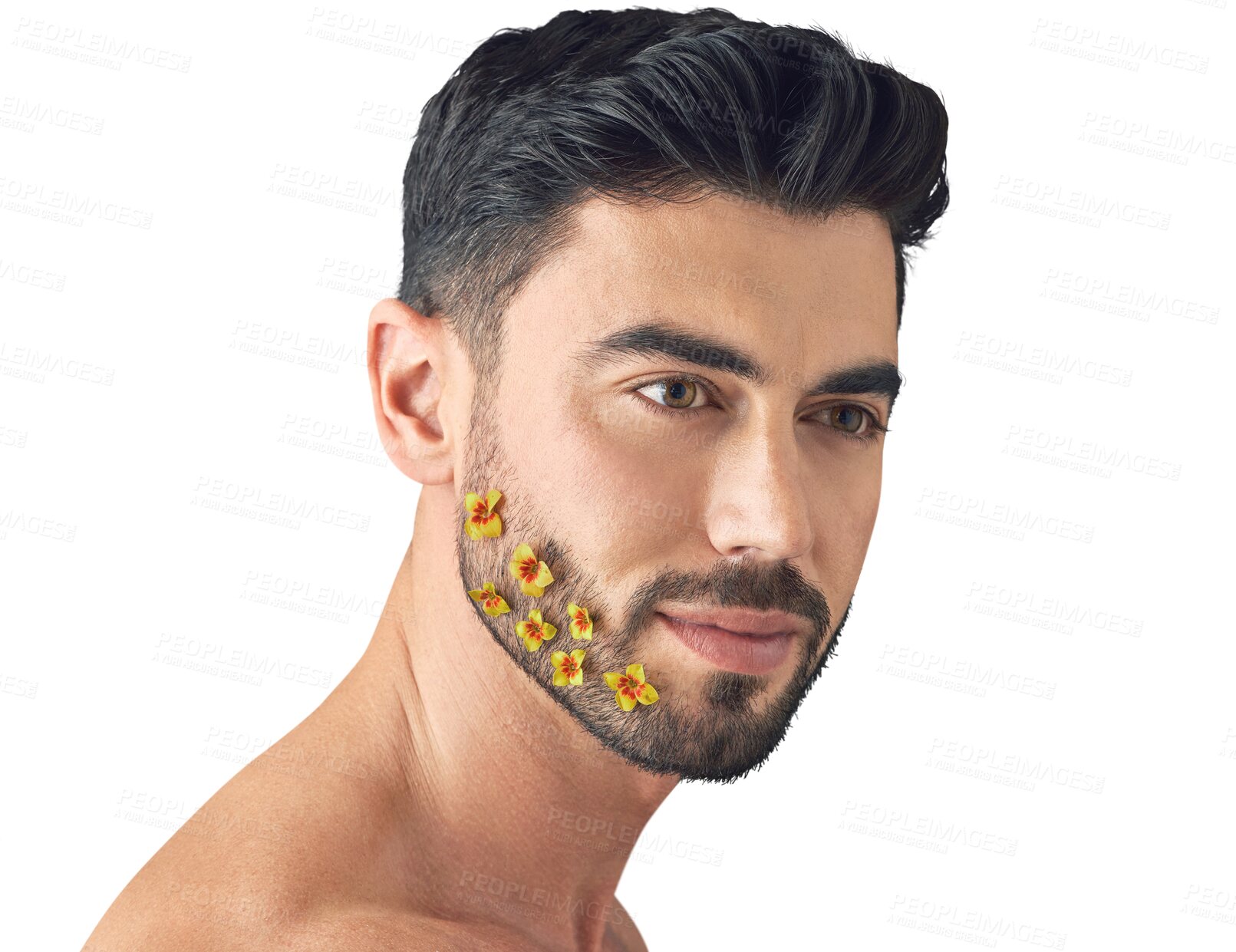 Buy stock photo Flowers, skincare or man with beauty, beard or confidence isolated on transparent png background. Dermatology face transformation, wonder or person thinking of facial glow, wellness or floral plants