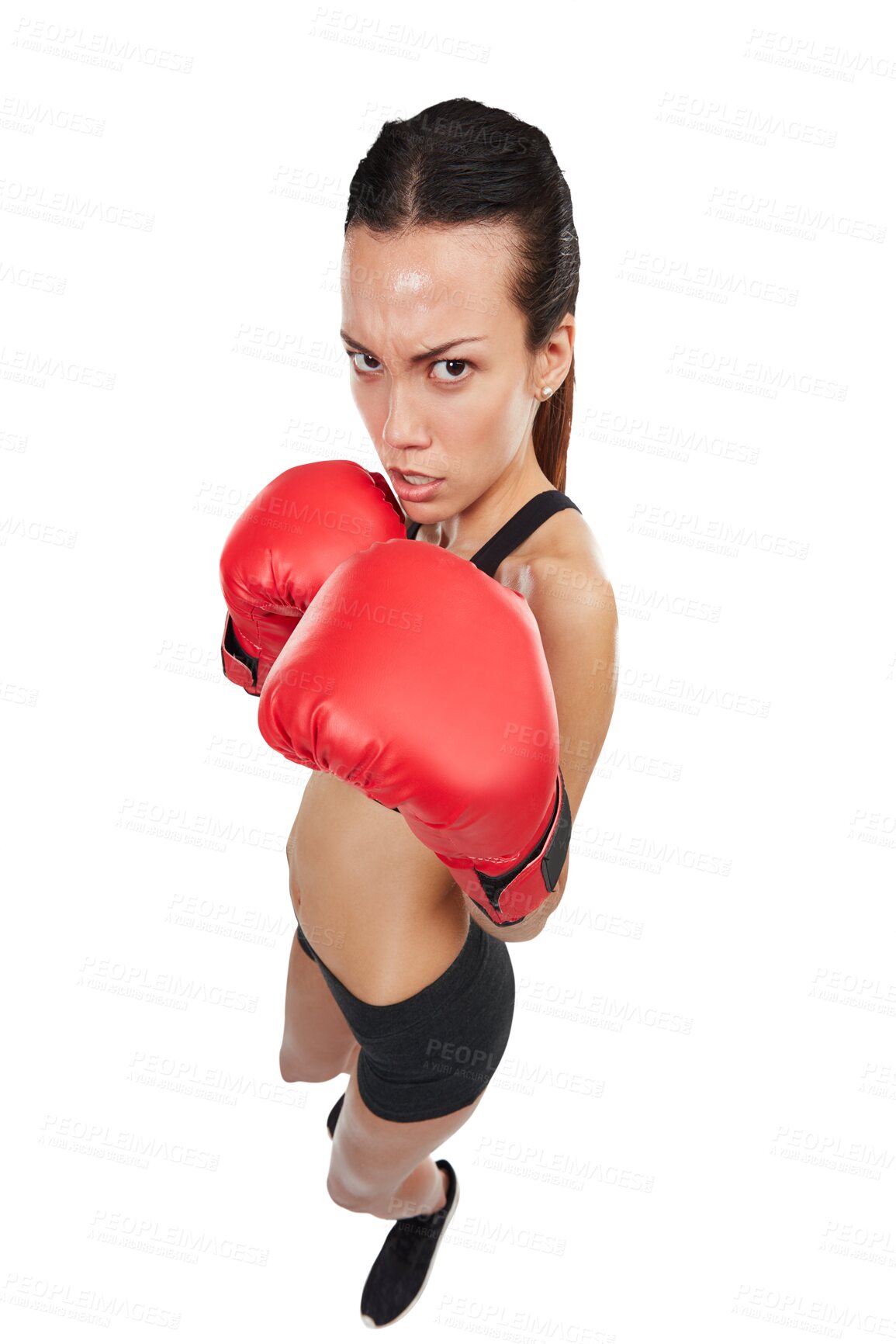 Buy stock photo High angle, portrait of woman and boxer isolated on a transparent png background. Face, boxing and serious athlete ready to start exercise, workout or training for competition, fight or martial arts.