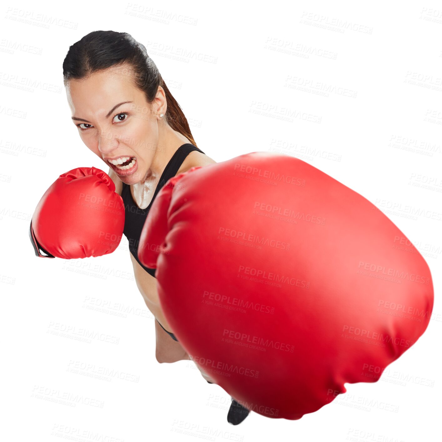 Buy stock photo Boxing, portrait of angry woman and punch from above isolated on a transparent png background. Sports, boxer and female athlete exercise, training or challenge for competition, fight or martial arts.