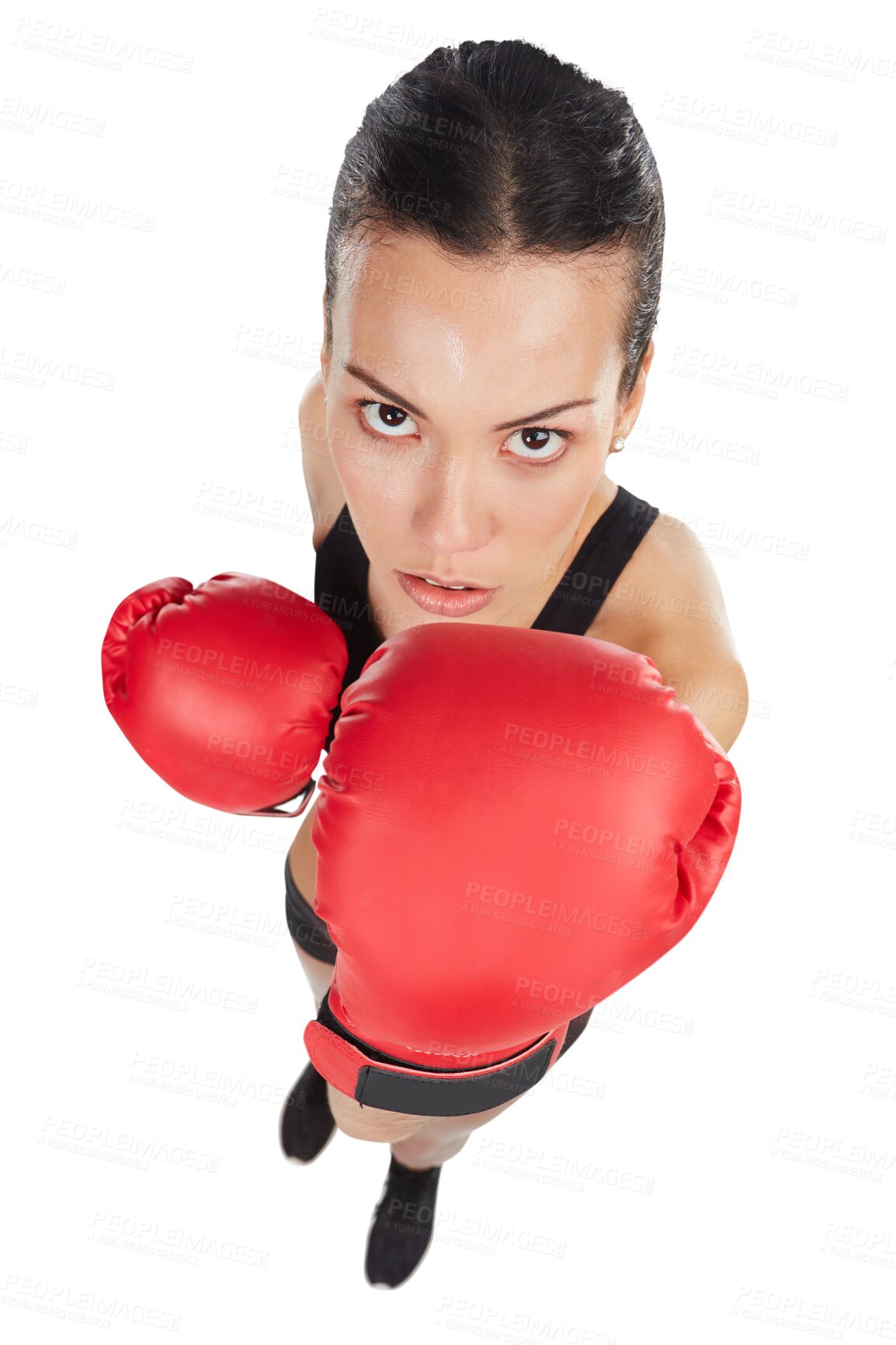 Buy stock photo High angle, portrait of woman and boxer isolated on a transparent png background. Face, boxing and serious athlete ready to start exercise, workout or training for competition, fight or martial arts.