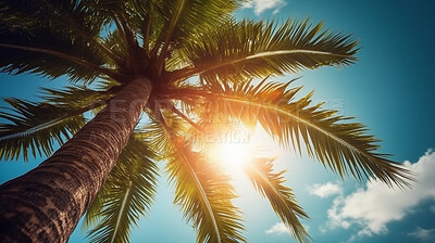Tropical, sky and island with plant in nature for travel, vacation and summer trip. Ai generated, adventure and holiday with palm tree in bay for Caribbean, seaside destination and freedom