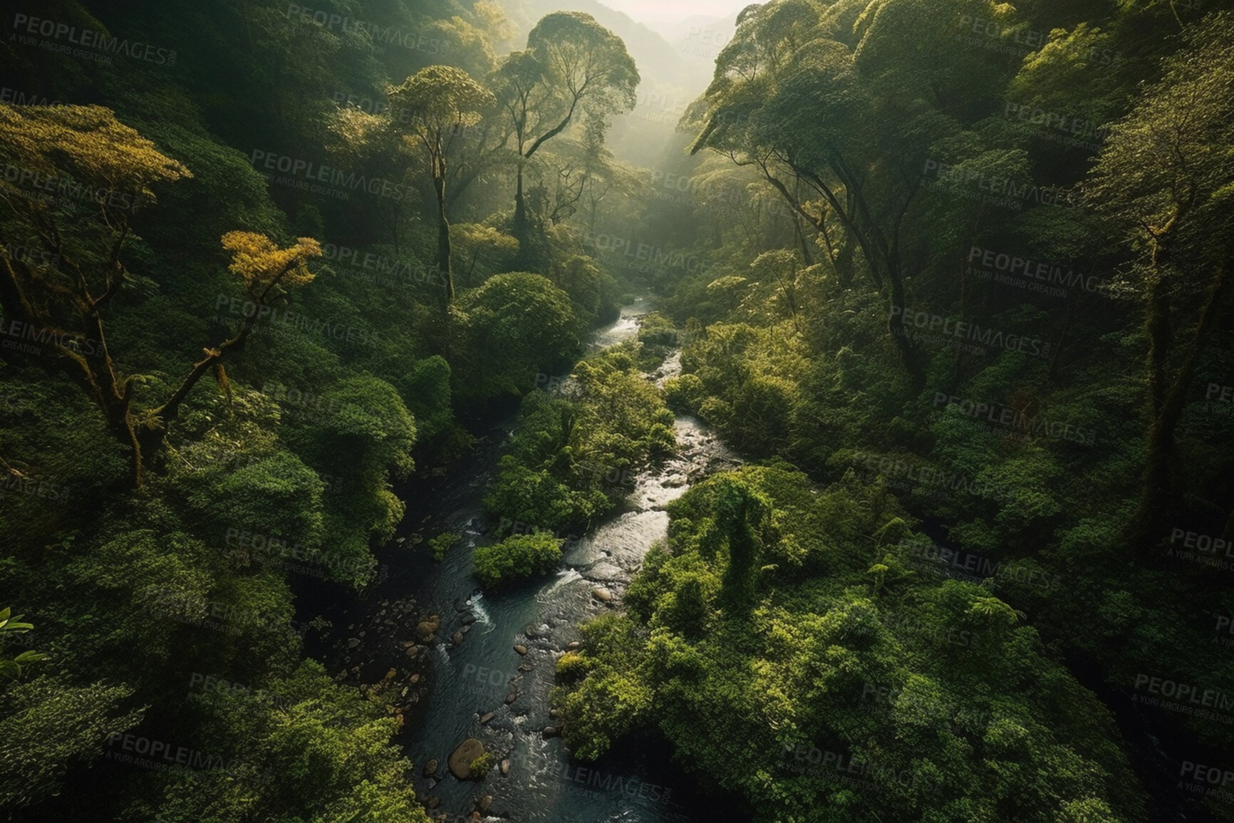 Buy stock photo Environment, landscape and river with trees in forest for nature, sustainability and flora. Peace, ai generated and aerial view with water stream in countryside for foliage, paradise and wilderness