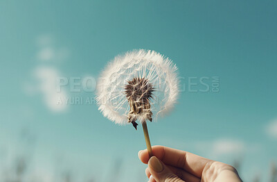 Dandelion, closeup and hands of person blowing in the wind in nature against a blue sky. Plant, seed and Ai generated flower in the air for hope, change or wish in the sunshine of Spring time