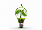 Light bulb, plants or isolated growth in sustainability, green energy or ai generated recycling idea