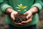 Person hands, plant and sapling for planting, eco conservation and ai generated agriculture growth