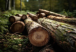 Closeup trees, wood and forest for deforestation, harvest log and ai generated lumber industry