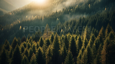 Buy stock photo Drone view, trees and woods with sunshine, fog and morning atmosphere in ai generated remote forest