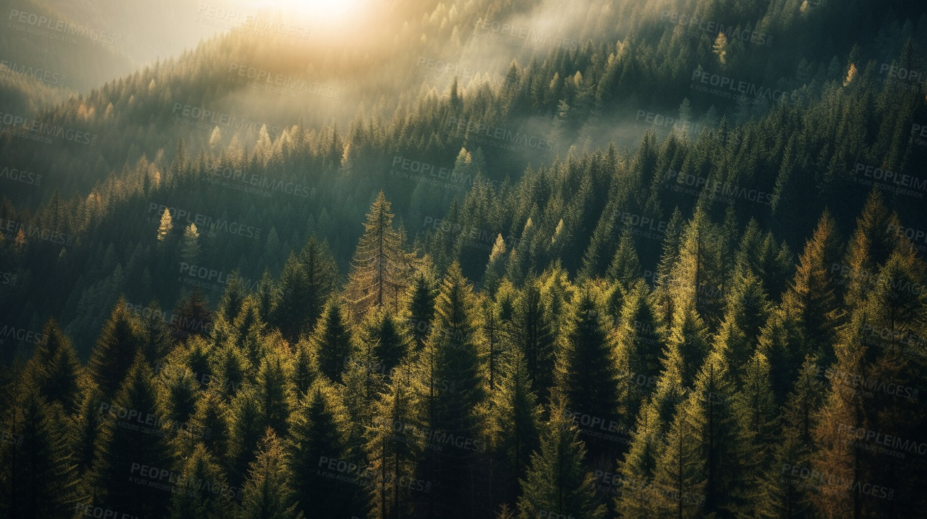 Buy stock photo Drone view, trees and woods with sunshine, fog and morning atmosphere in ai generated remote forest