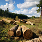 Trees, log and wood pile in forest for deforestation, harvest and ai generated lumber industry