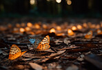 Closeup, butterfly and flying bug in nature woods for forest, sustainability and ai generated insect