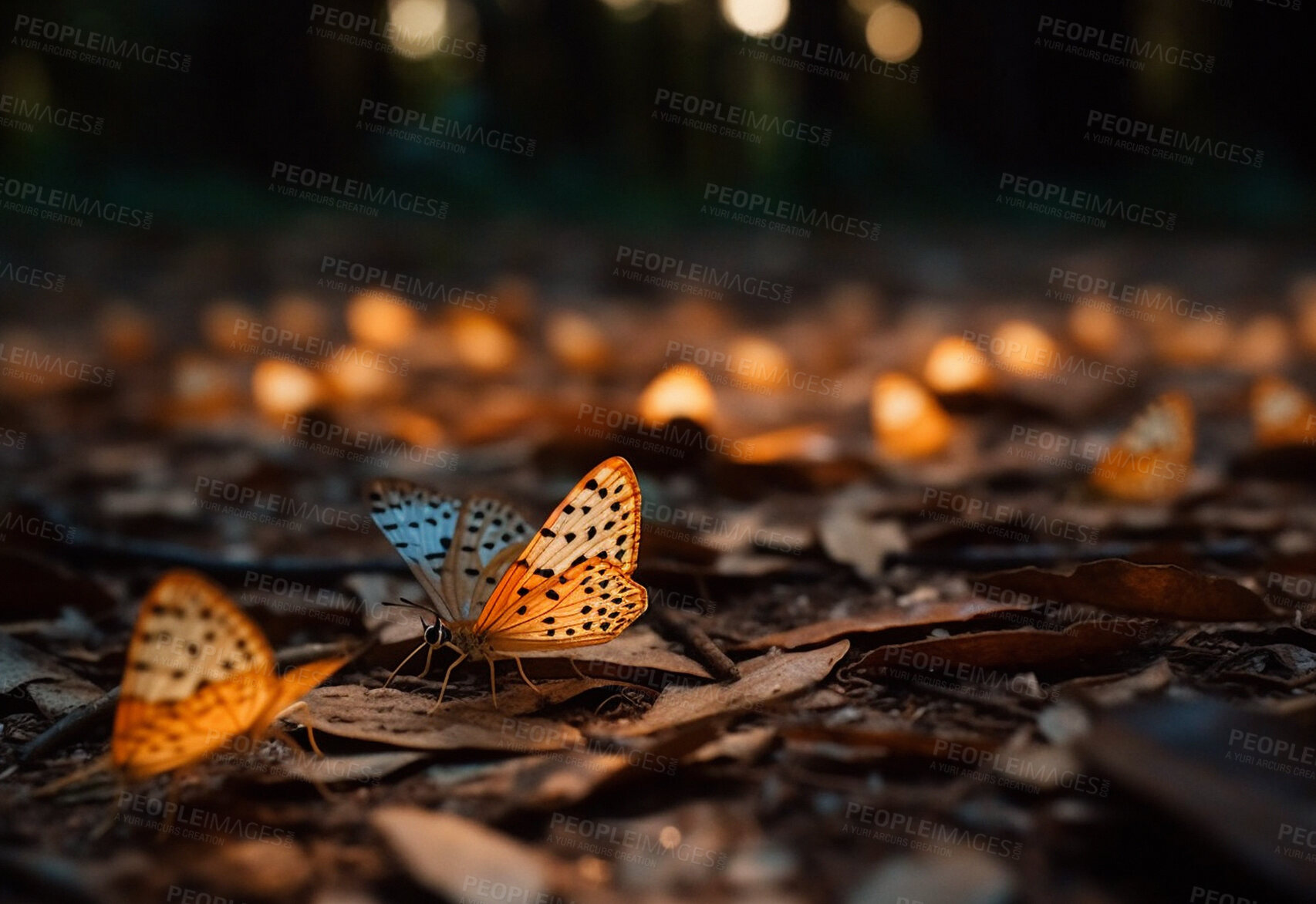 Buy stock photo Closeup, butterfly and flying bug in nature woods for forest, sustainability and ai generated insect