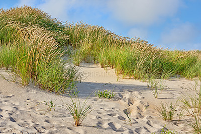 Buy stock photo Nature, grass and sand on beach at destination for summer vacation, getaway or weekend trip. Environment, blue sky and green leaves at landscape for outdoor location for holiday with tourism.