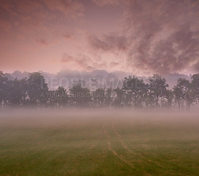 Buy stock photo Outdoor, fog and countryside with agriculture, plants and Denmark with farming, overcast and landscape. Empty, meteorology and environment with sustainability, sunset and eco friendly with clouds