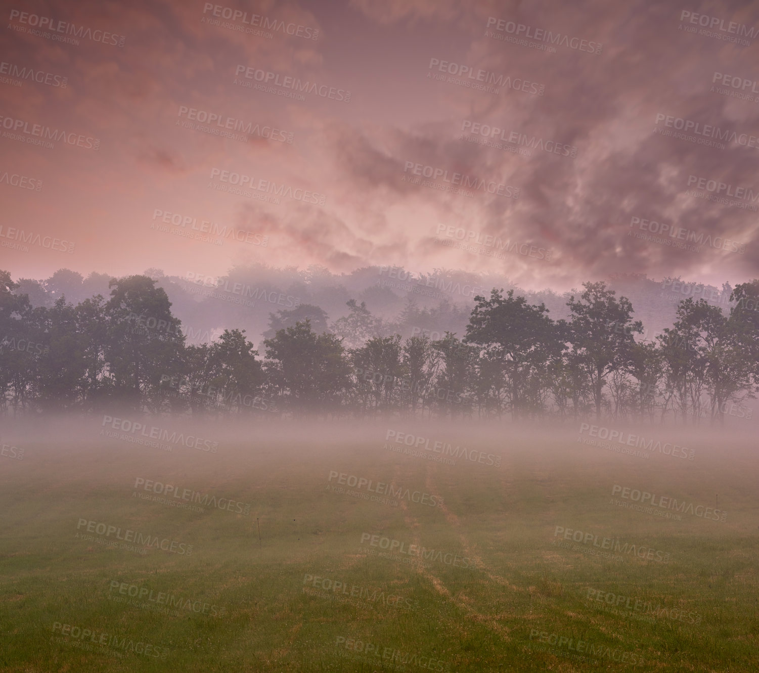 Buy stock photo Outdoor, fog and countryside with agriculture, plants and Denmark with farming, overcast and landscape. Empty, meteorology and environment with sustainability, sunset and eco friendly with clouds