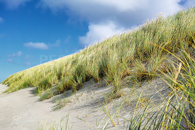 Buy stock photo Vacation, grass and sand on beach at destination for summer travel, getaway or weekend trip. Environment, clouds and green leaves at landscape for outdoor location for holiday with tourism in nature.