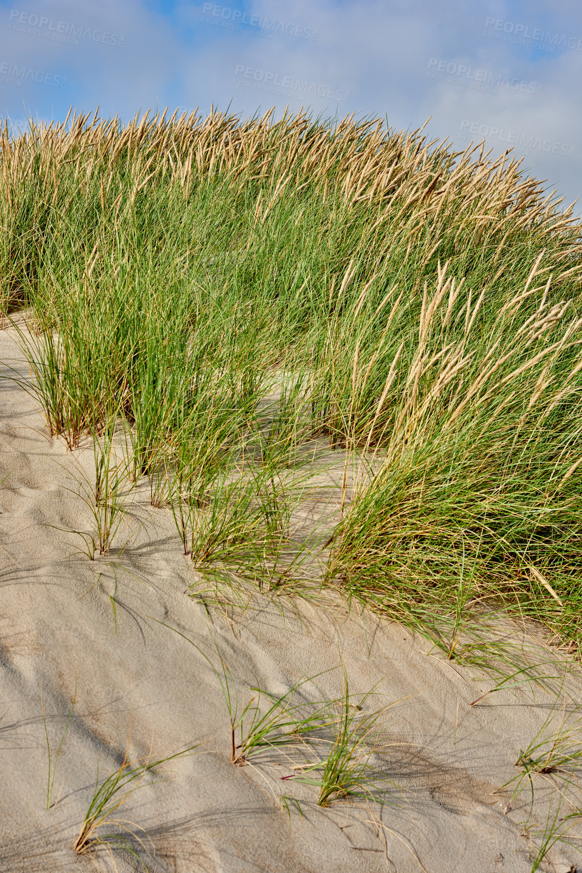 Buy stock photo Nature in the Kingdom of Denmark