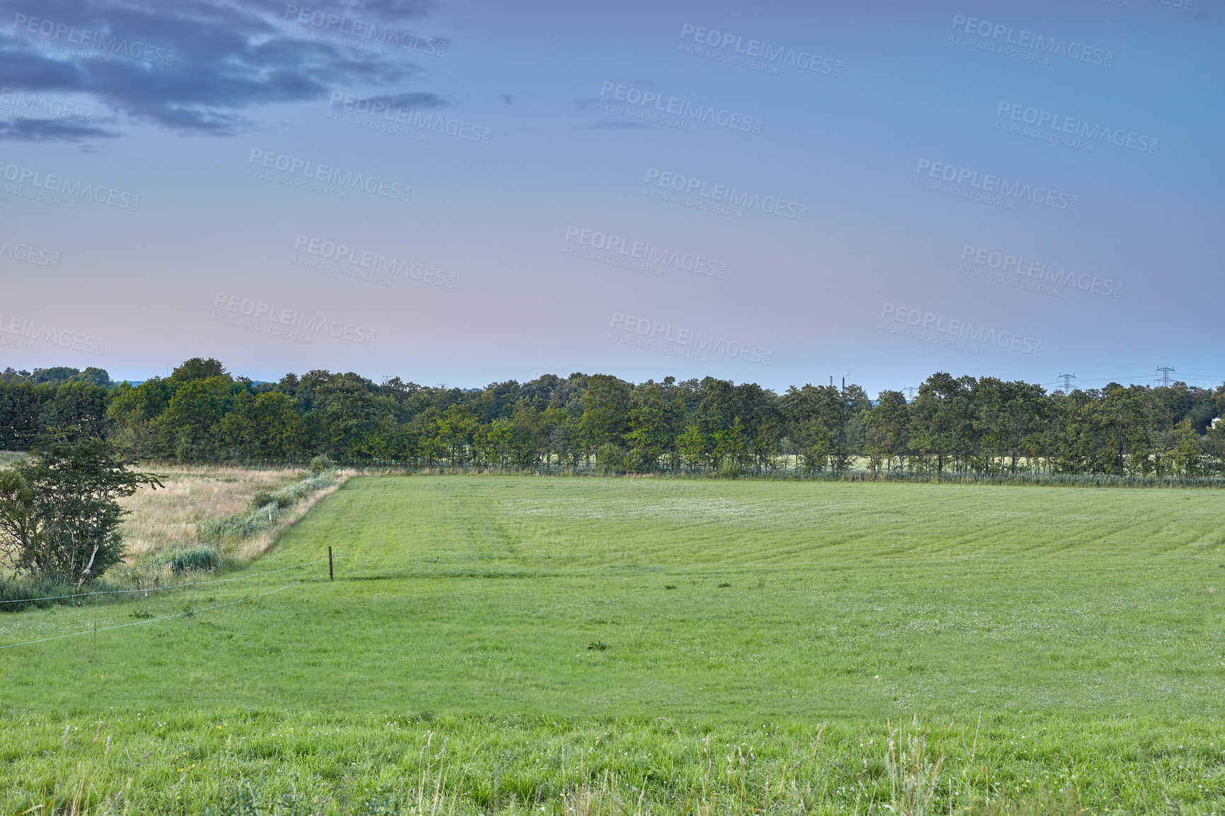 Buy stock photo Grass field, trees and sky with natural scenery of farmland, growth or landscape in countryside. Empty, space and greenery with agro life for sustainable environment, plantation or nature vegetation