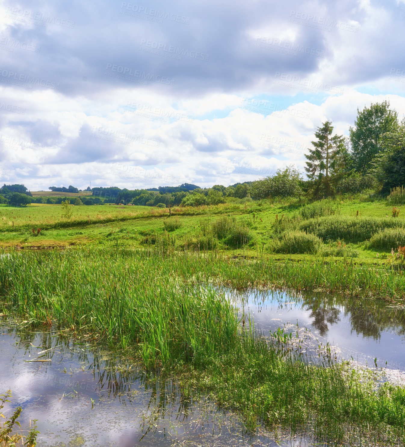 Buy stock photo Nature in the Kingdom of Denmark