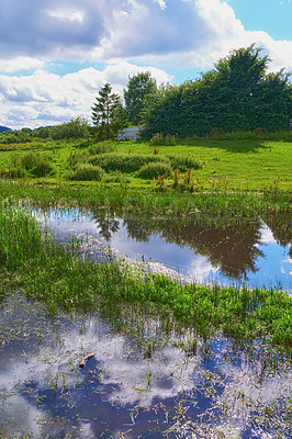 Buy stock photo Grass field, pond or water with cloudy sky or trees of natural scenery or growth in countryside. Empty, lake or greenery with sustainable agro environment or ecosystem in nature, land or wilderness