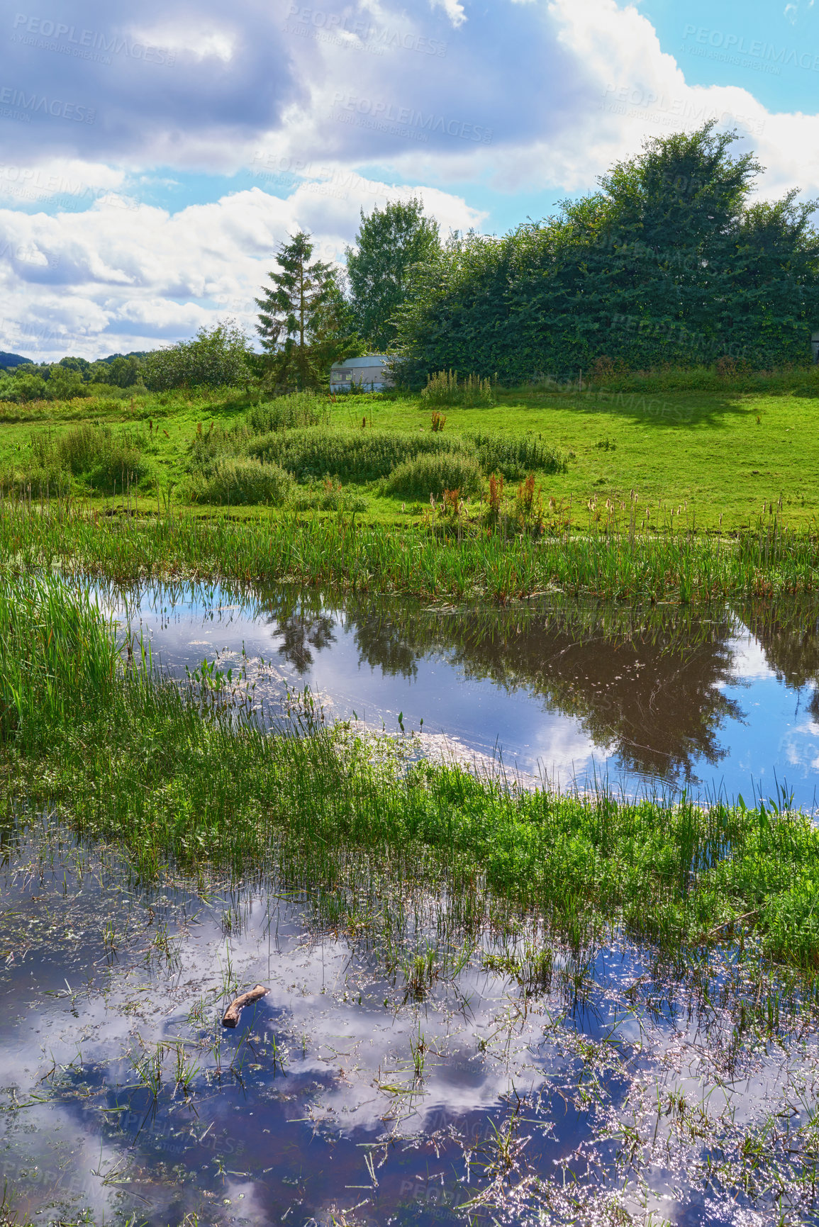 Buy stock photo Nature in the Kingdom of Denmark