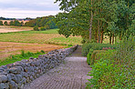 Denmark nature, countryside and environment