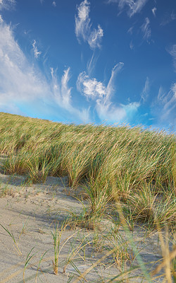 Buy stock photo Nature in the Kingdom of Denmark