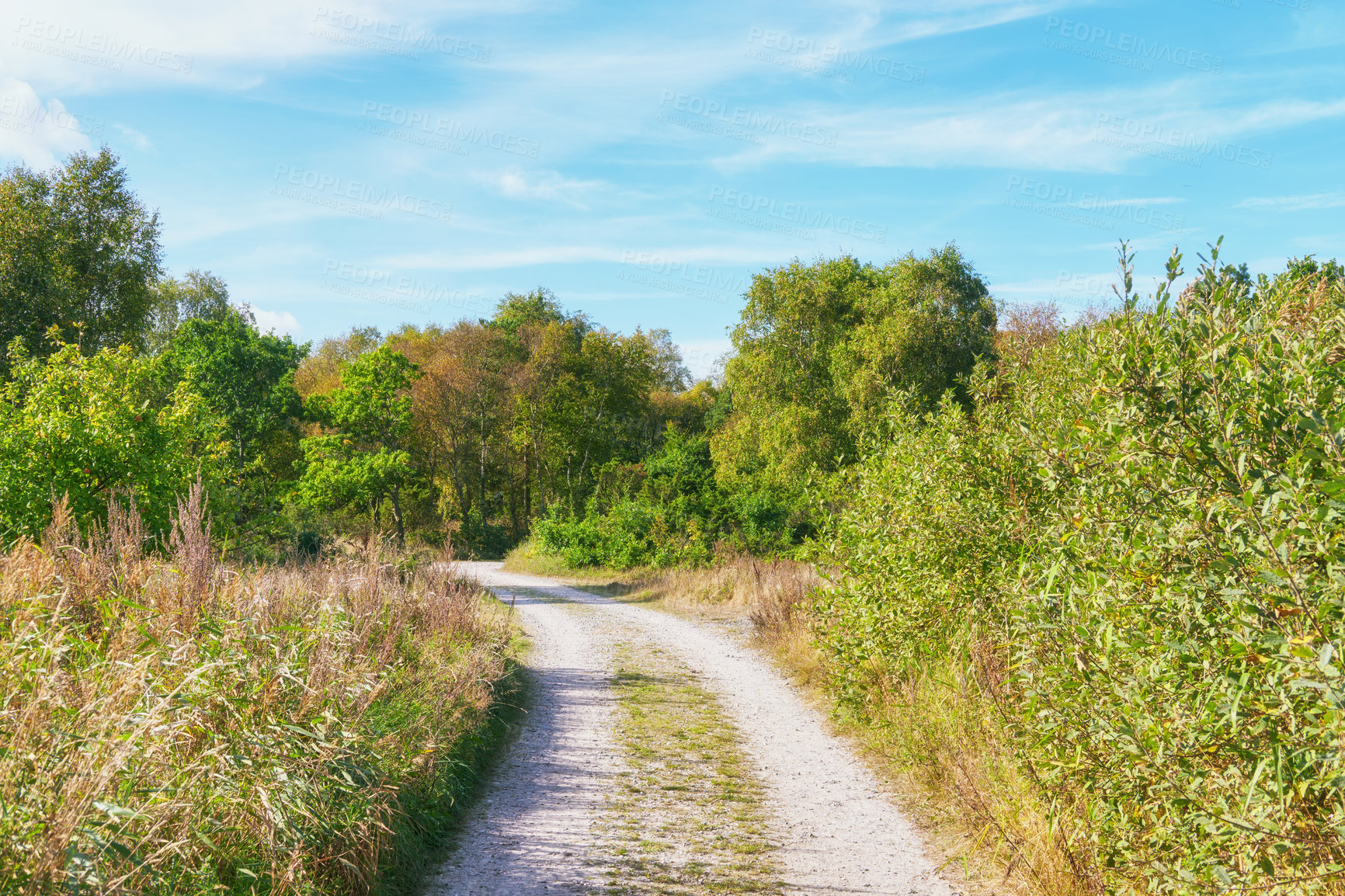 Buy stock photo Nature in the Kingdom of Denmark