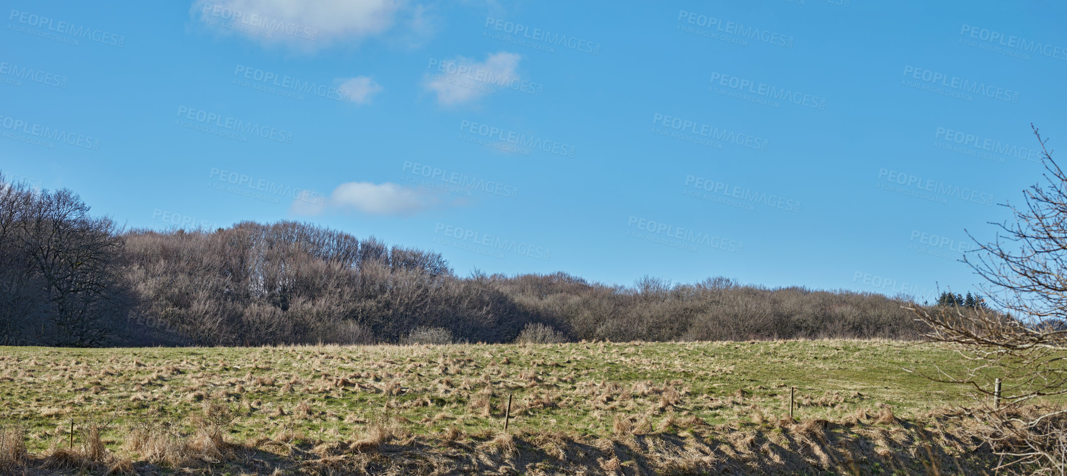Buy stock photo Nature, field and countryside landscape environment for vacation, travel location and mockup space for holiday. Outdoor, farm and forest with trees, woods and grass with background on sky in Denmark