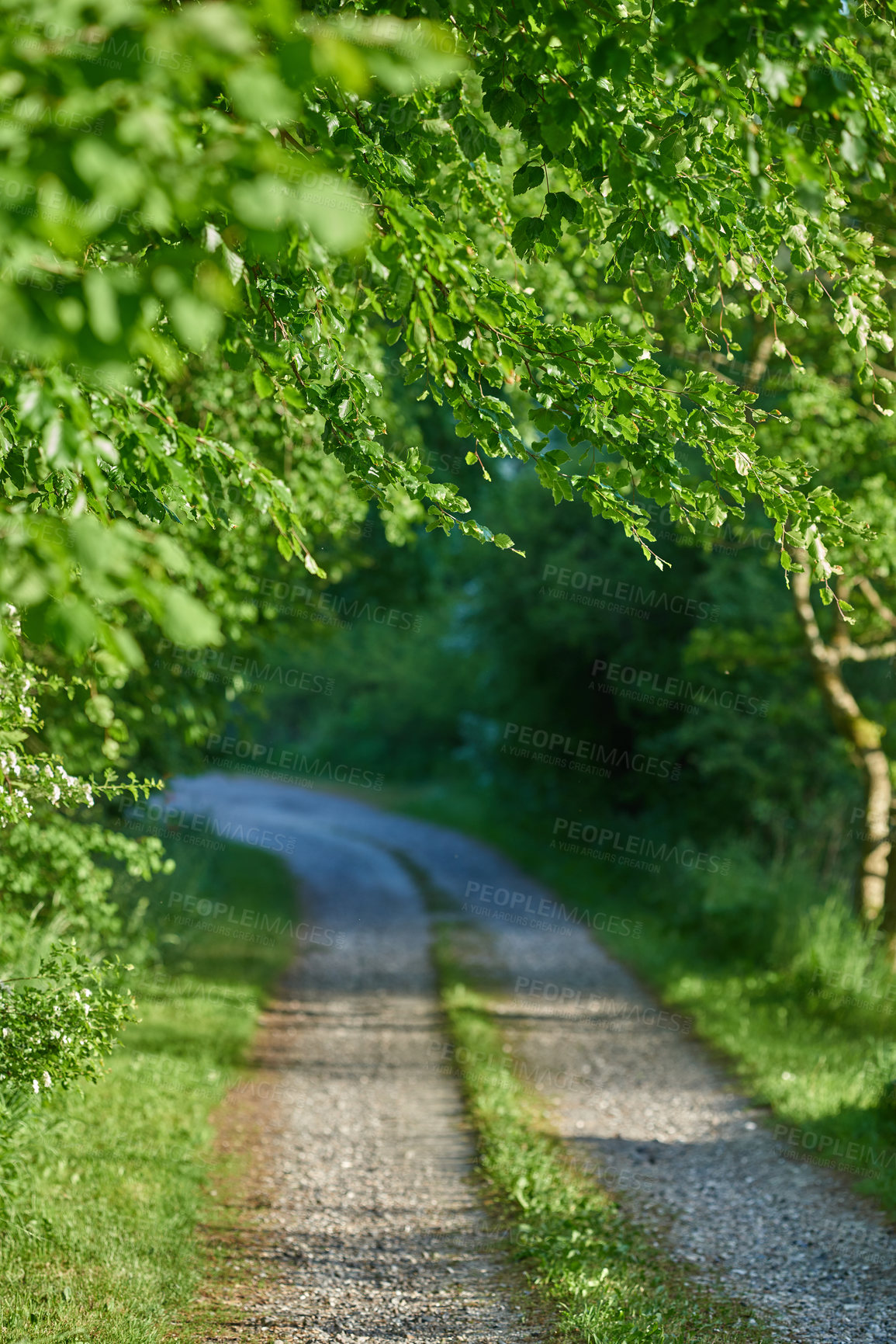 Buy stock photo Nature in the Kingdom of Denmark