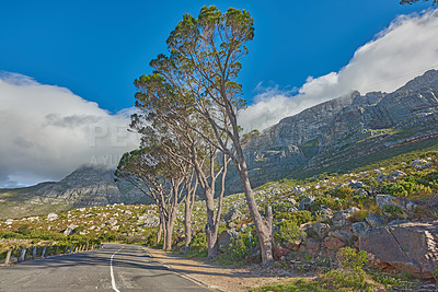 Buy stock photo Road along a mountain and nature in Cape Town, Western Cape. Beautiful landscape of a tar roadway near lush green trees, grass, and big rocks. Peaceful scenic view of open land 