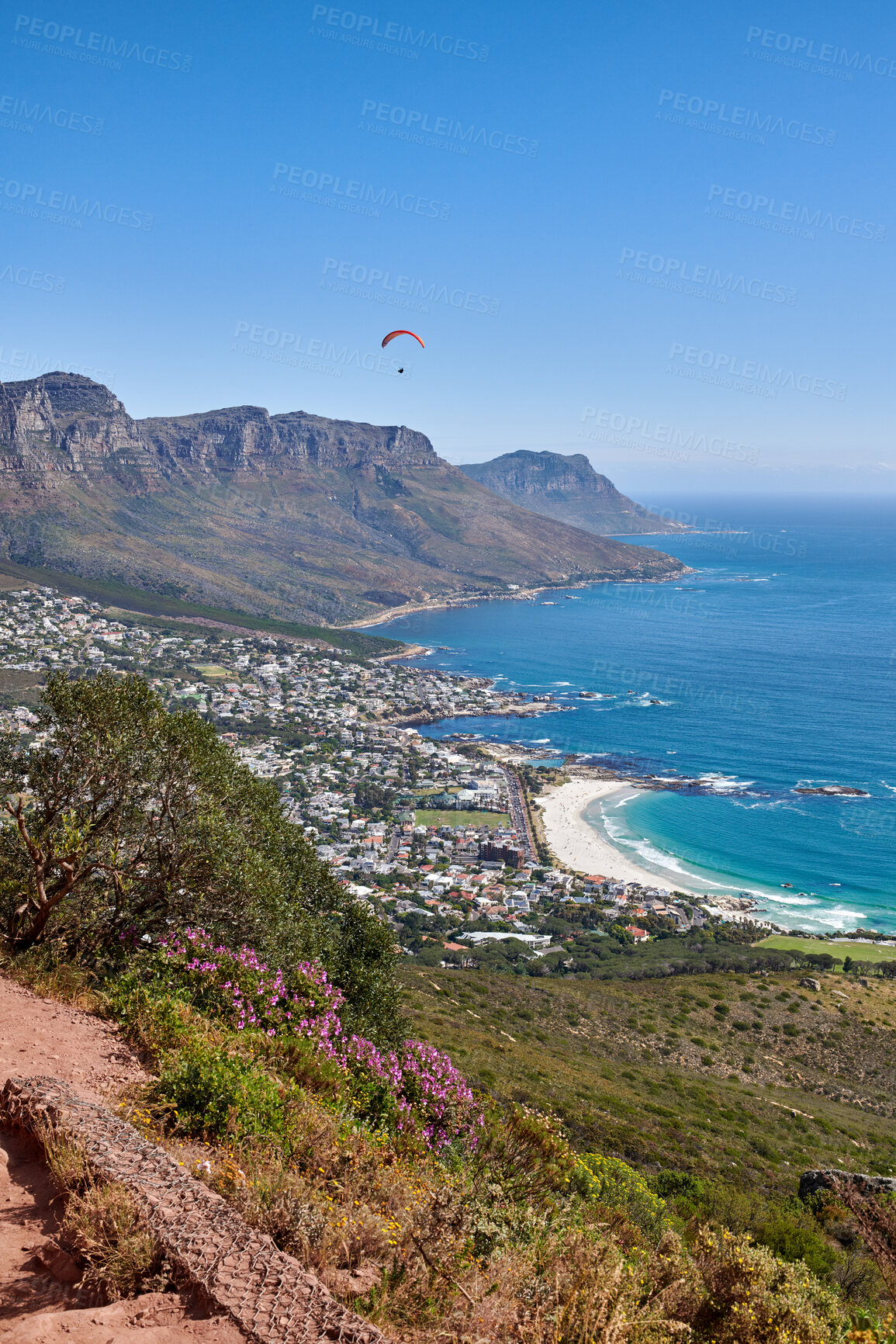 Buy stock photo Landscape, copy space and ocean view of mountain hiking trail with fynbos flowers. Paraglider flying over mountains, sea and city in extreme adrenaline sport or adventure hobby in travel destination