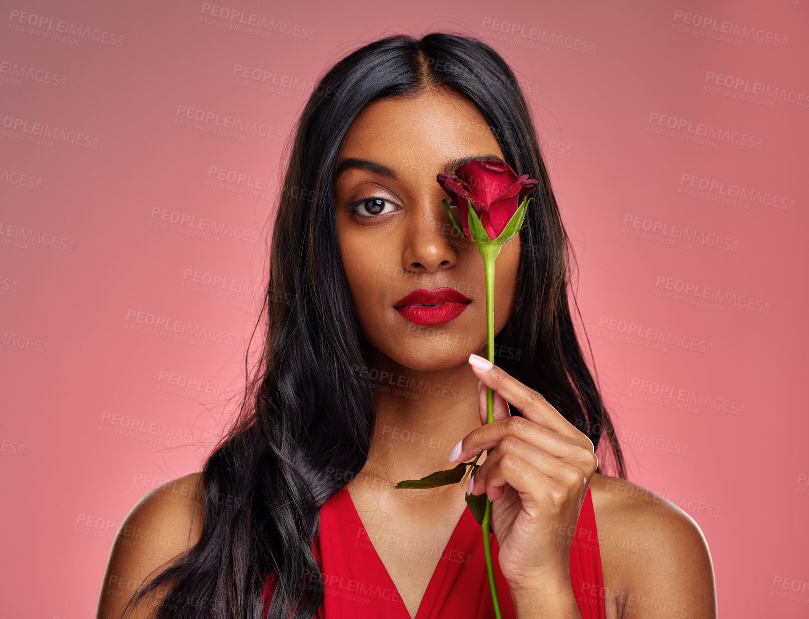 Buy stock photo Face, beauty and portrait of a woman with a rose on a studio background for valentines day. Makeup, model and serious young Indian girl with a flower in hand for romance or love on pink backdrop