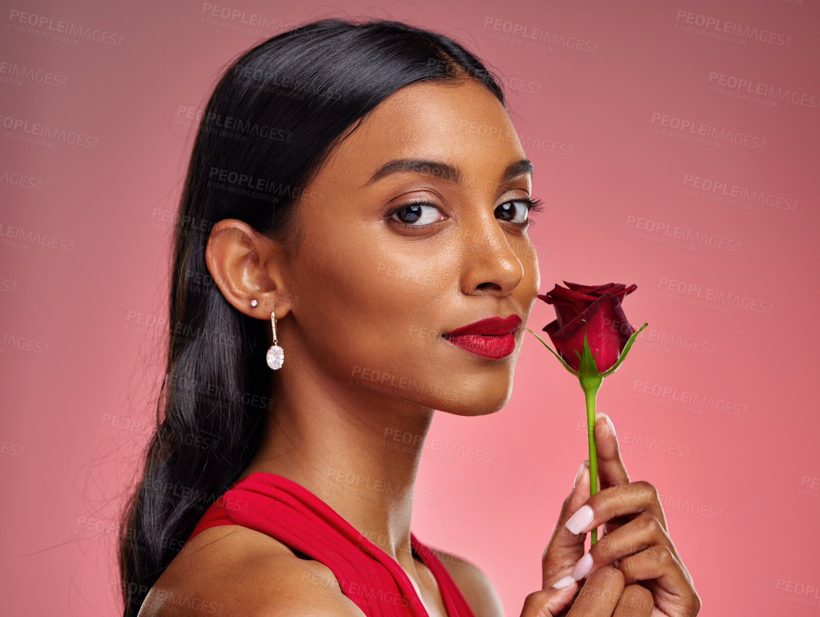 Buy stock photo Beautiful, portrait and an Indian woman with a rose on a studio background for valentines day. Serious, model and face of a young girl with a flower for romance or love isolated on a backdrop