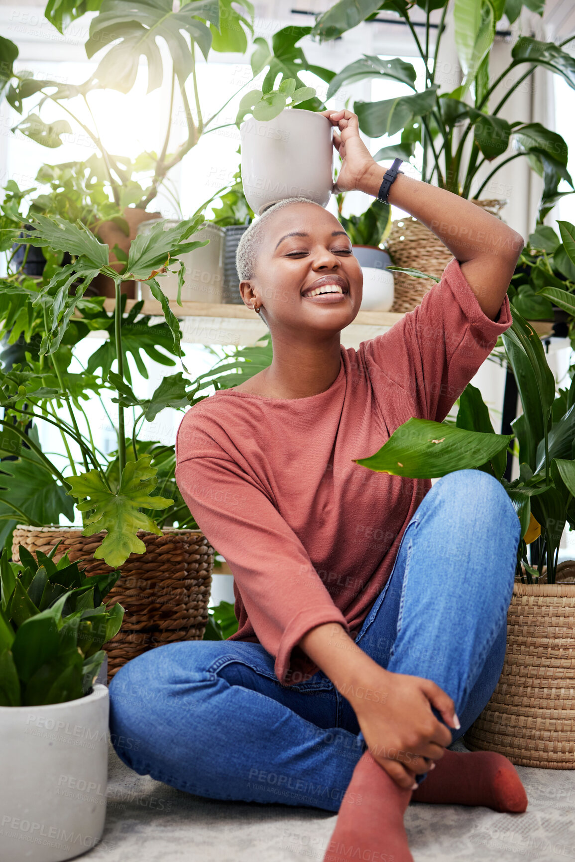 Buy stock photo Portrait of a black woman, garden and happy with plant on head and care for plants, leaves and sunshine in greenhouse. Gardening, growth and person with houseplant and happiness 