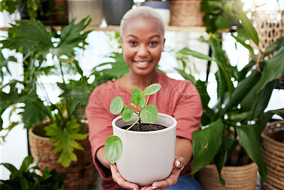 Buy stock photo Black woman, plant and nature, gardening and sustainability with environment. African female person, eco friendly and smile in portrait, happy with botany and green leaves, sprout in soil with growth