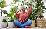 Music, dance or freedom with a black woman in her home by plants while streaming an audio playlist. Headphones, flare and subscription service with a carefree young female person streaming in a house