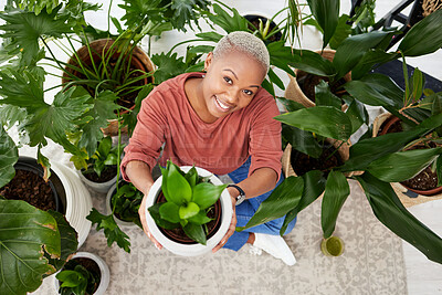 Buy stock photo Black woman, hold pot plant and home in portrait from above with smile, pride or care for indoor garden. African girl, leaves and growth with nature, sustainability or happy sitting on floor in house