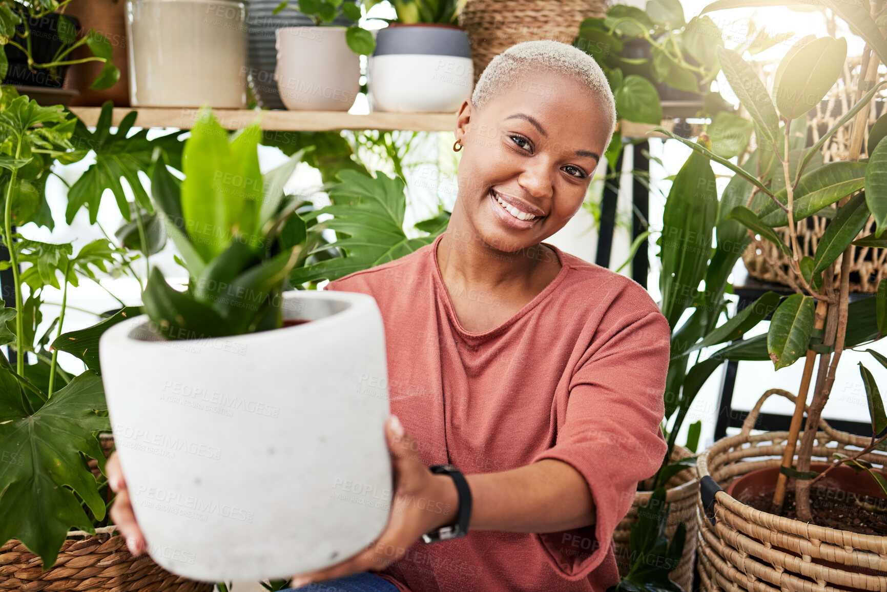 Buy stock photo Greenhouse, eco friendly and portrait of woman with a plant for a sustainable or botanical gift. Happy, smile and African female person with green leaves in pot in the nursery for gardening at home.