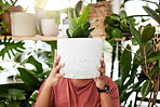 Garden, plant and woman with a cactus in house for growth, development and care for plants, leaves and sunshine in greenhouse. Gardening, person and holding an aloe houseplant in a ceramic pot