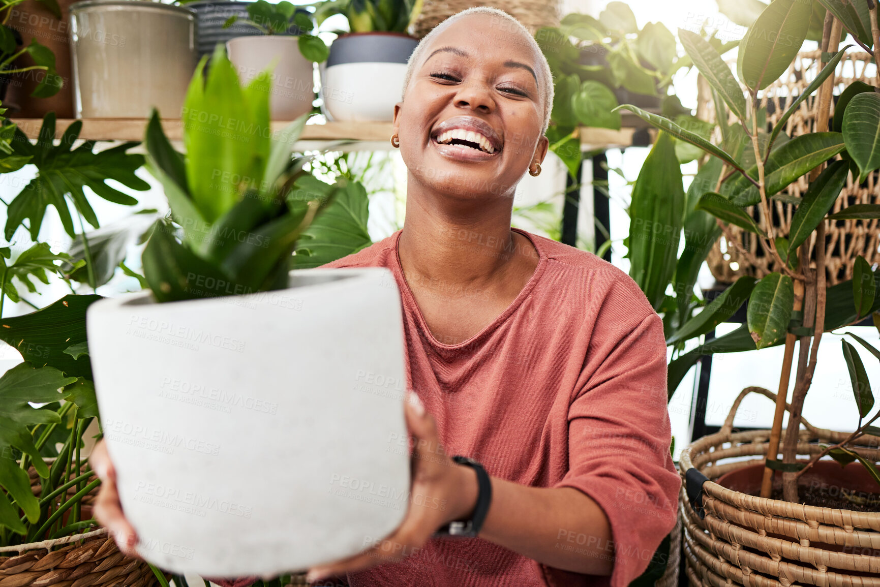 Buy stock photo Happy, smile and woman with a plant in the greenhouse for an eco friendly or sustainable gift. Happiness, calm and African female person with green leaves in pot in the nursery for gardening at home.