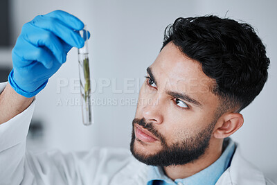 Buy stock photo Science, test tube and man with leaf in laboratory for research, biology and study medicine. Healthcare, agriculture analysis and male scientist with plant sample for sustainable medical treatment