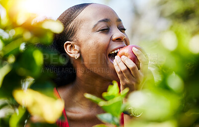 Buy stock photo Apple, healthy and black woman biting or eating a fruit on a orchard farm with fresh produce in summer and smile. Happy, nutrition and young female person on an organic diet for sustainability