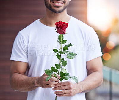 Buy stock photo Love, hands and man with rose for date, romance and care for valentines day present, proposal or engagement. Romantic surprise, floral gift and person holding or giving flower outside with bokeh.