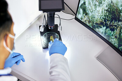 Buy stock photo Scientist, research and weed sample in glass dish for natural medicine or analysis with innovation. Science, expert and analysis with marijuana in laboratory for inspection or pharmaceutical study.