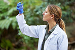 Woods, water and woman scientist test sample for research or inspection of the ecosystem and environment study. Science, sustainable and professional environmentalist doing carbon footprint exam