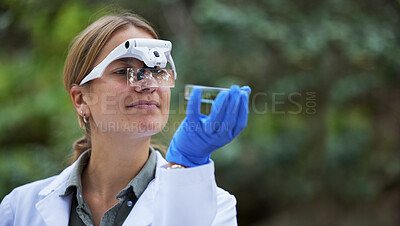 Buy stock photo Science, analysis and woman with petri dish in forest, study growth of trees and sustainable plants in nature. Ecology, safety and research in biology, scientist with glasses and inspection in woods.